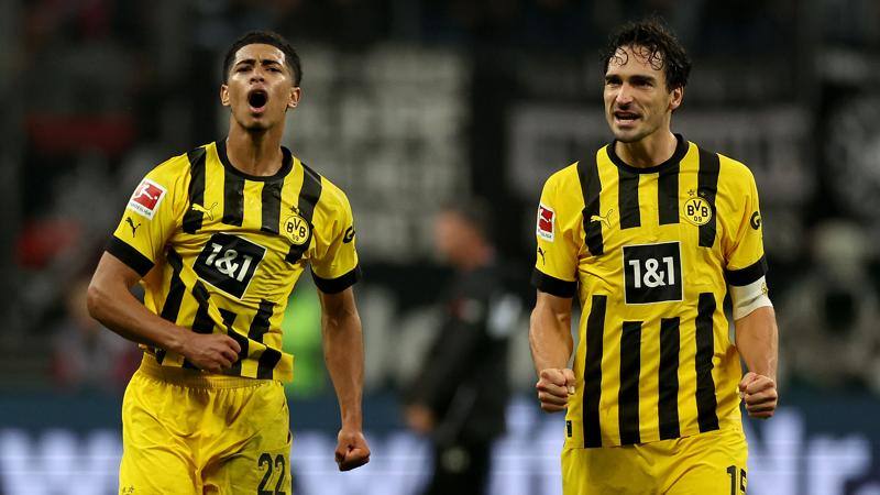 Le possibili avversarie del Napoli Bruges  Dortmund  Eintracht e... due brividi